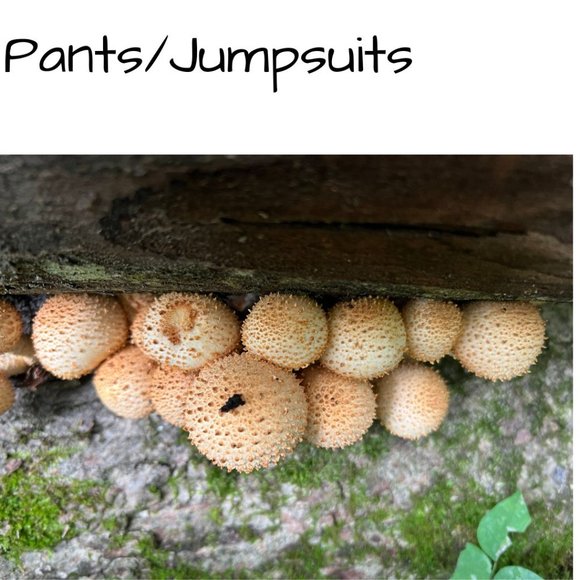 ๐ Pants/Jumpsuits - Picture 1 of 1